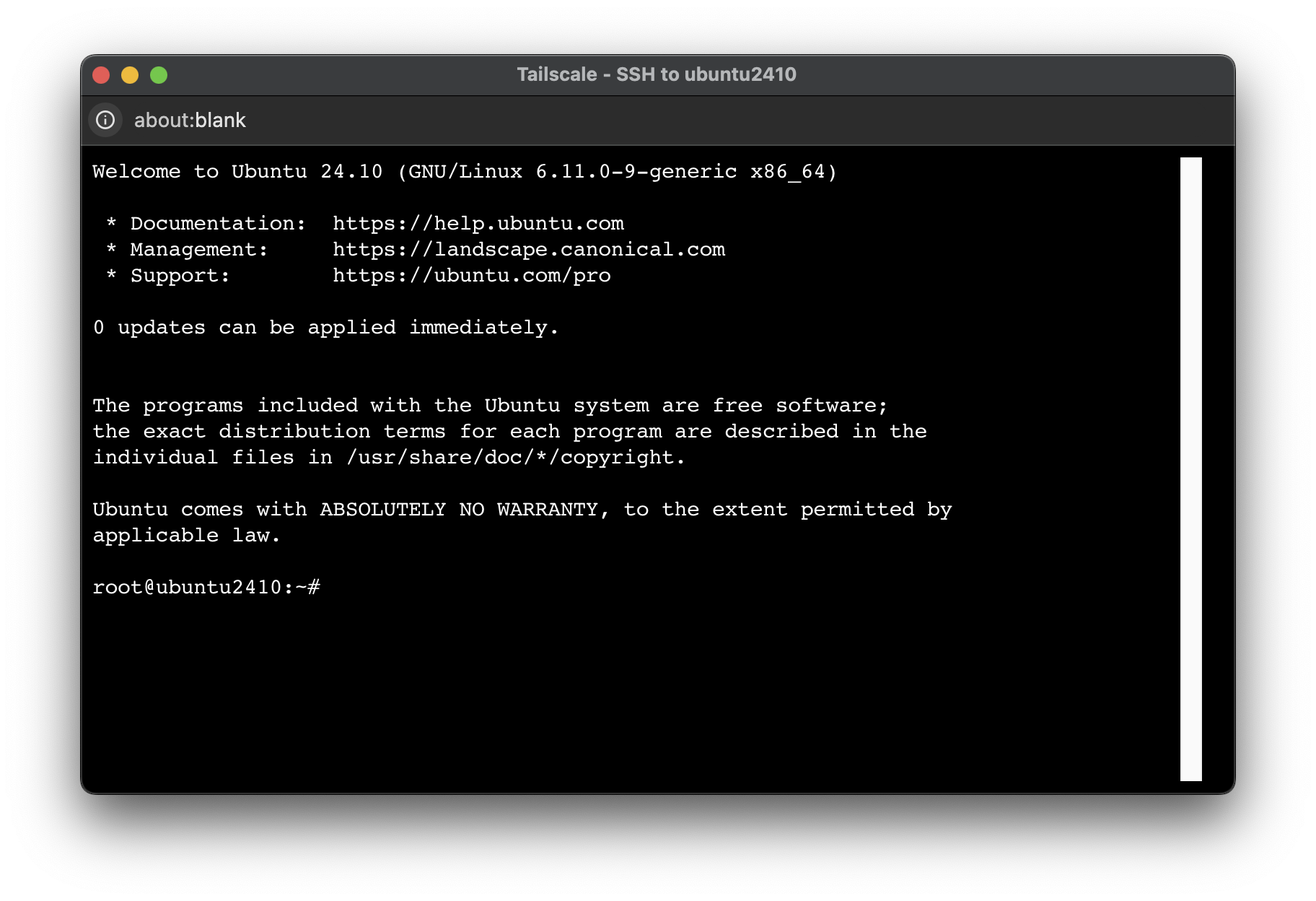 tailscale ssh console